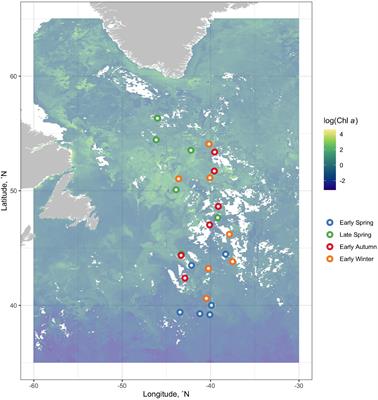 The Seasonal Flux and Fate of Dissolved Organic Carbon Through Bacterioplankton in the Western North Atlantic